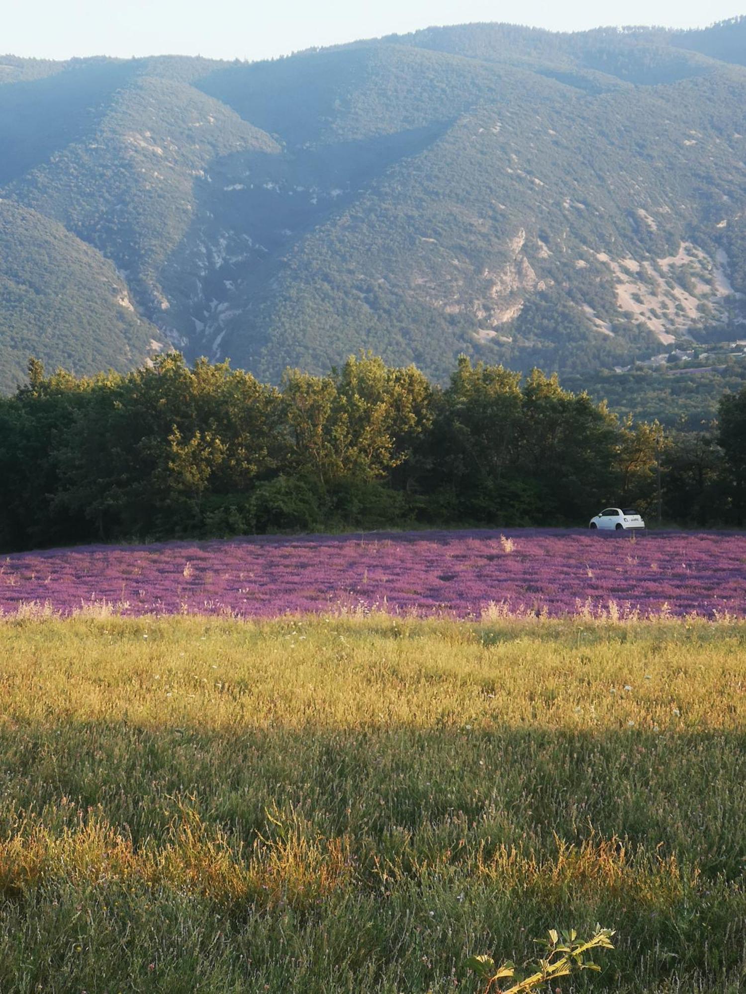 Le Petit Paradis Villa Saint-Martin-de-Castillon Dış mekan fotoğraf